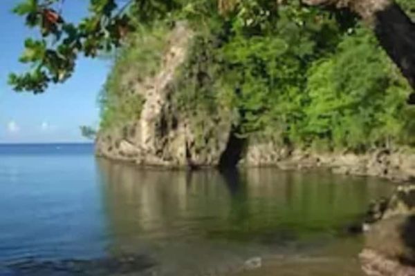 Hummingbird Beach Resort (Mamin)